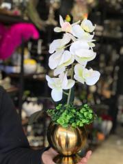 Islak Orkideli Antik Gold Mercan Vazo